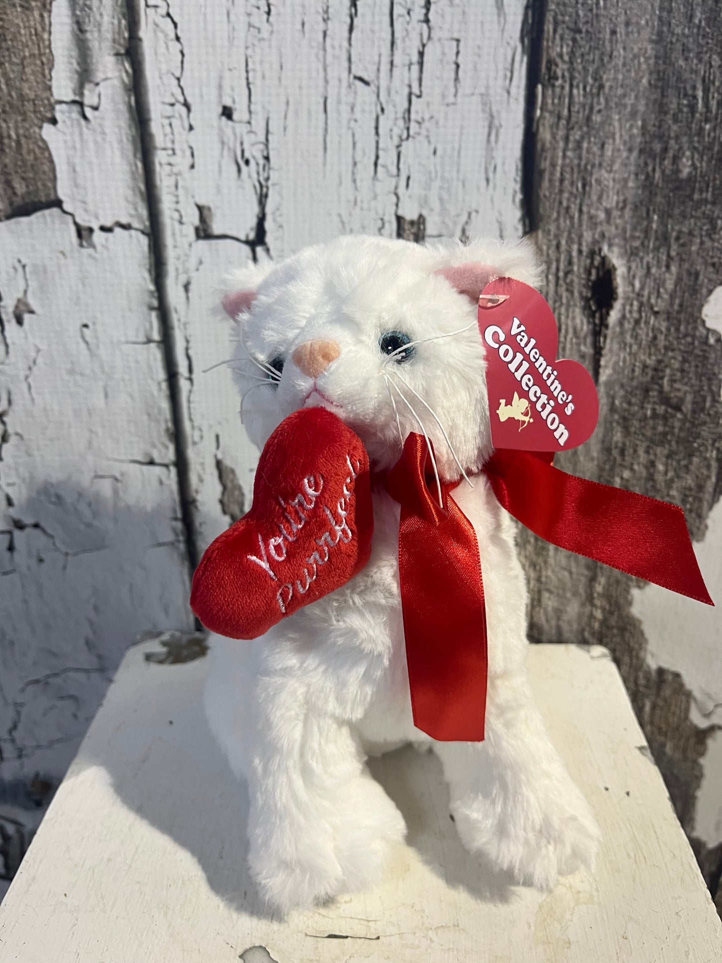Vous êtes un chaton parfait