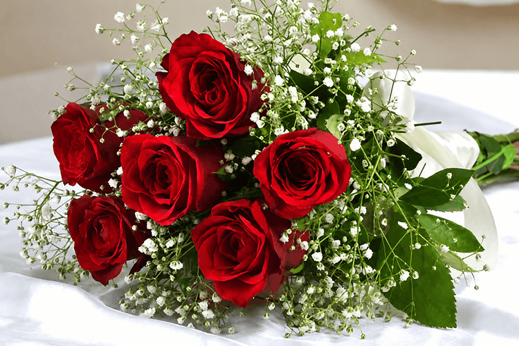 Six red roses in Griffintown