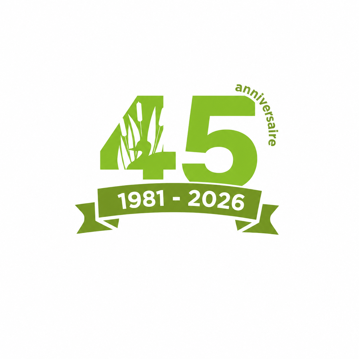 45-years-anniversary-logo