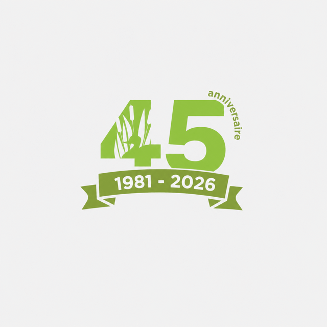 45 Years Anniversary 