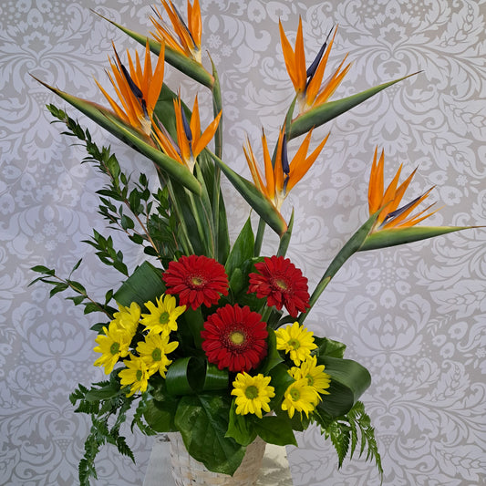 Arrangement funéraire tropical