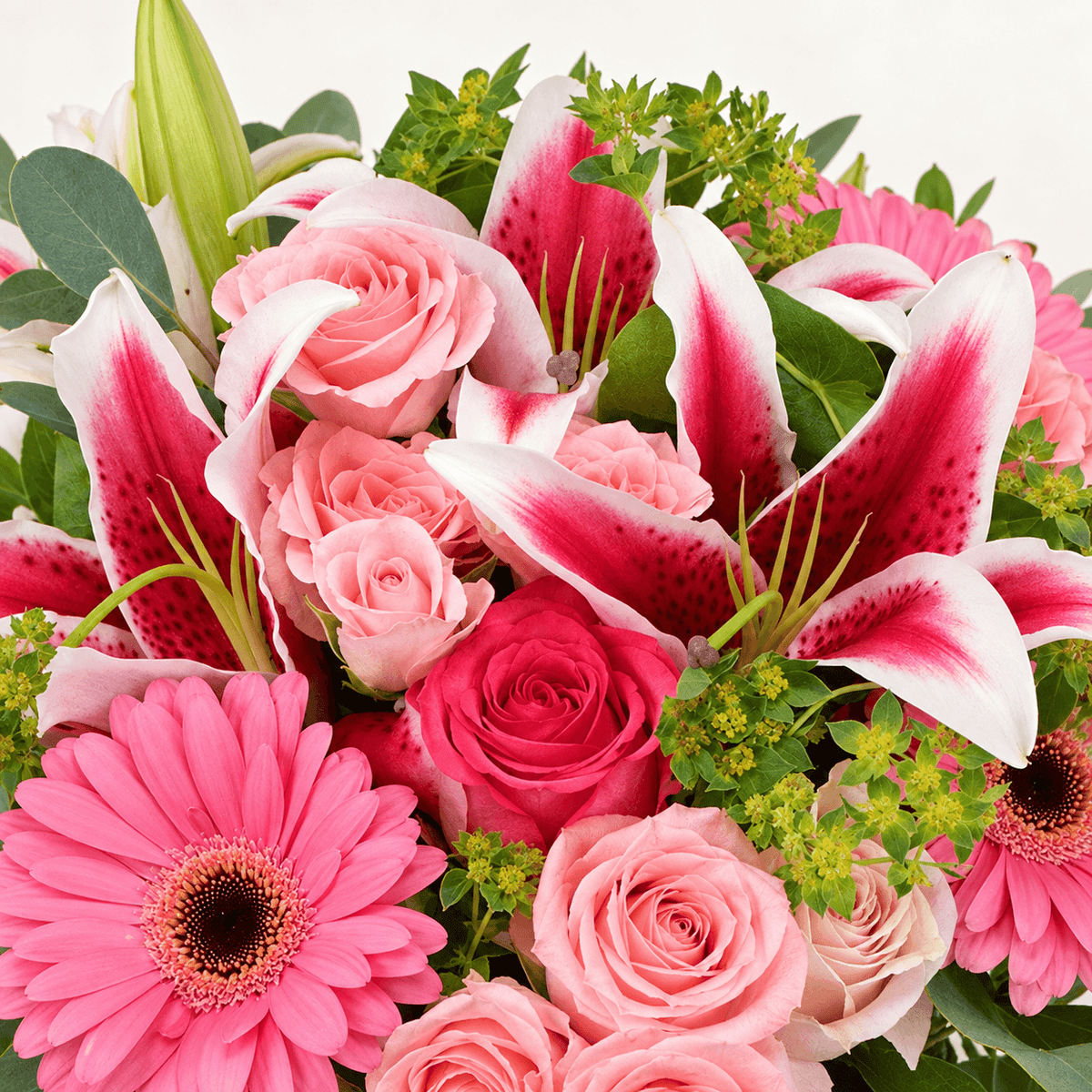 Designer's Choice Bouquet - A vibrant flower bouquet featuring pink roses, pink gerbera daisies, white and pink stargazer lilies, and green foliage, set against a clean white background.