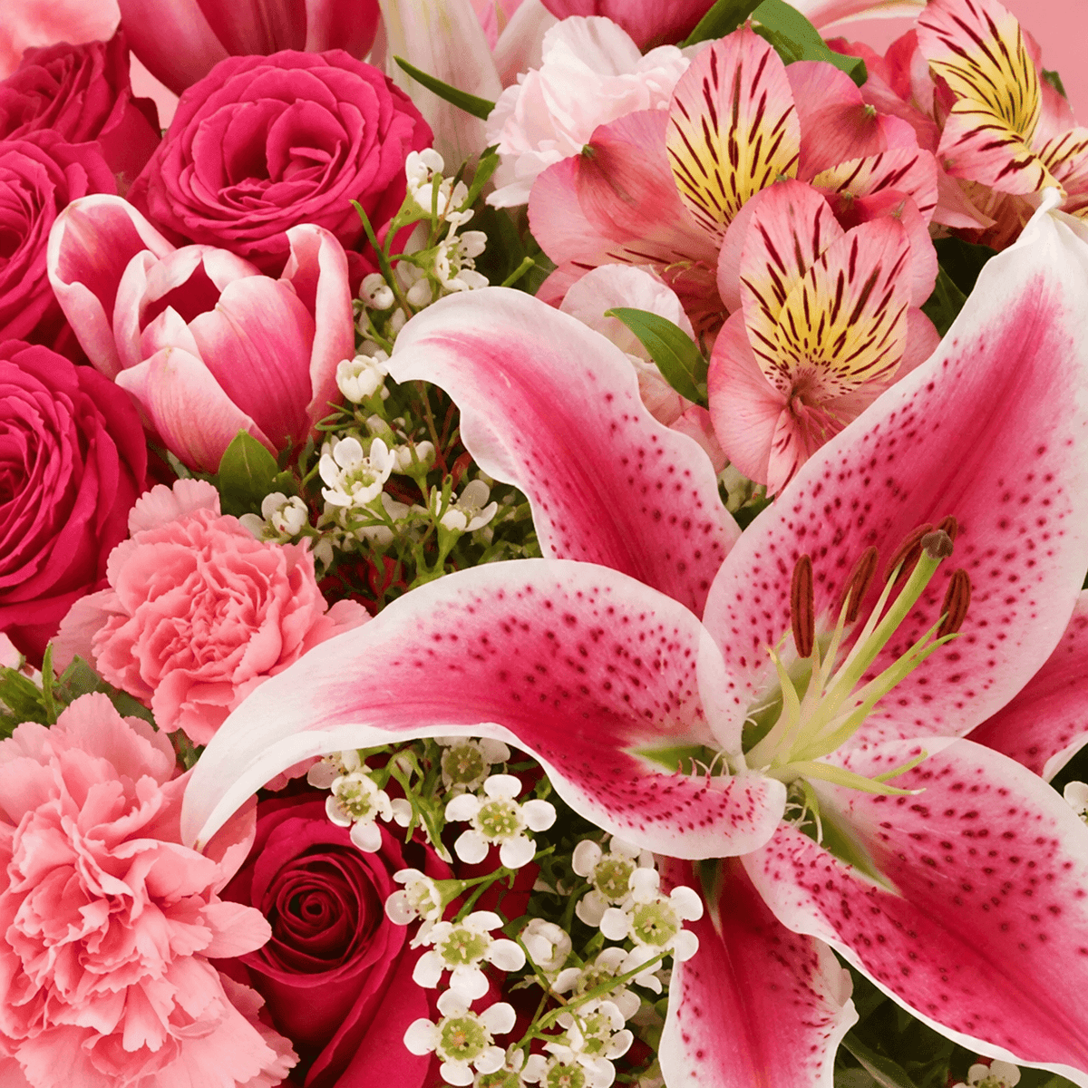 A close-up bouquet of pink and red flowers including a large pink-and-white stargazer lily, roses, carnations, tulips, alstroemeria, and small white filler flowers.