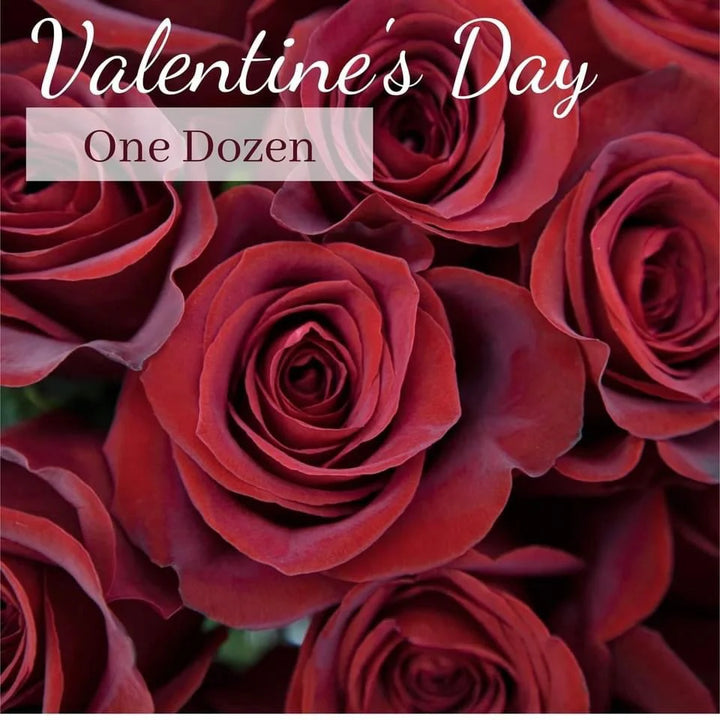 A close-up image of a dozen red roses with the text 'Valentine's Day One Dozen' overlayed.