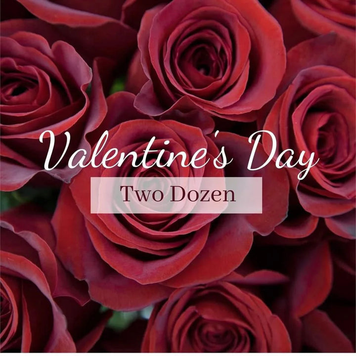 A close-up image of a red rose with the text 'Valentine's Day Two Dozen' overlayed.