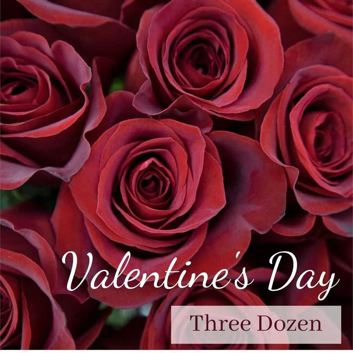 A close-up image of a red rose with the text 'Valentine's Day Three Dozen' overlayed.