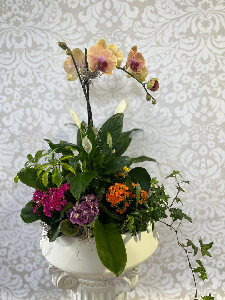 A ceramic dish garden featuring a variety of plants including green foliage and colorful flowers, displayed on a white patterned background.