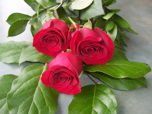 3 Red Roses bouquet
