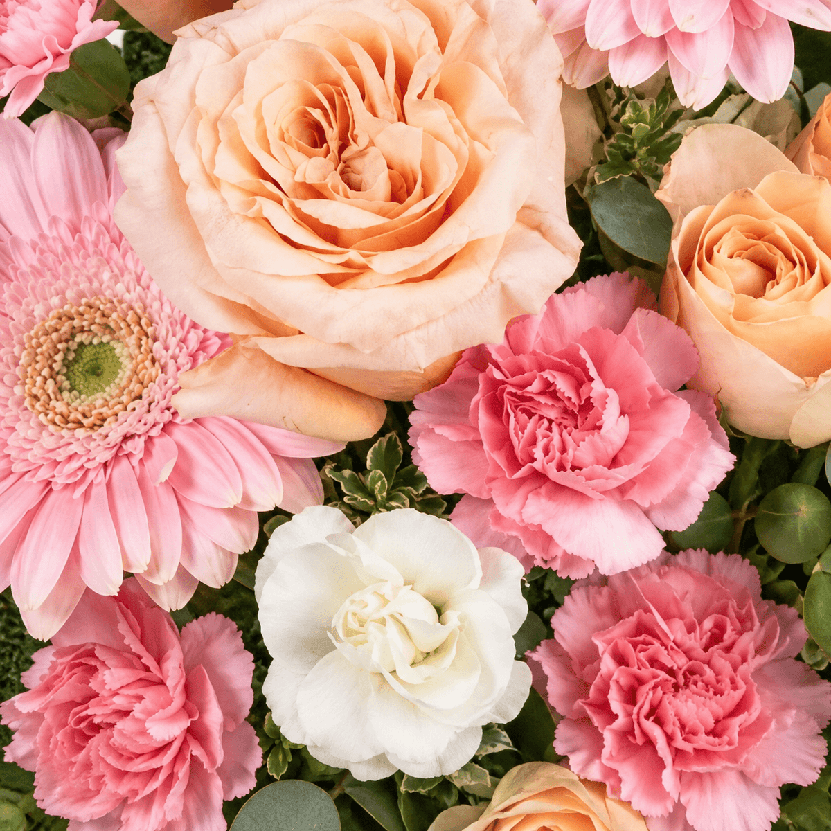 A close-up floral arrangement featuring peach roses, pink carnations, a white rose, pink gerbera daisies, and green foliage.