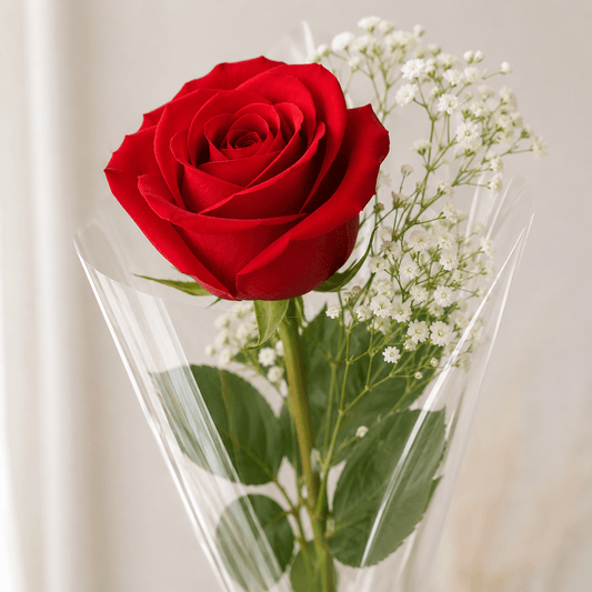A single red rose with green leaves and small white baby's breath stems, wrapped in clear cellophane, photographed against a soft light beige background.