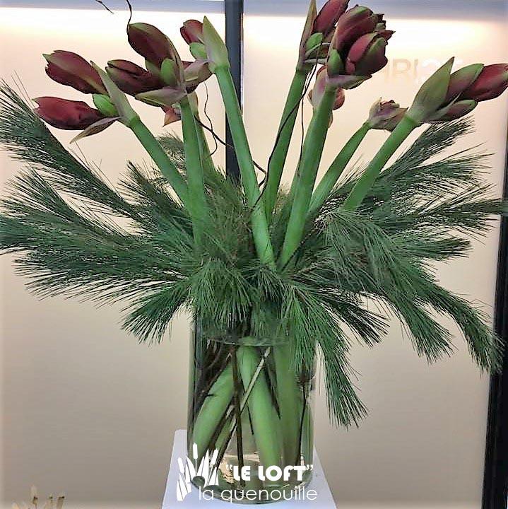 Amazing Amaryllis holiday flower arrangement